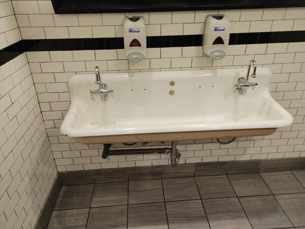 Wall-hung Double Lavatory sink Installed in Skokie, IL (1)